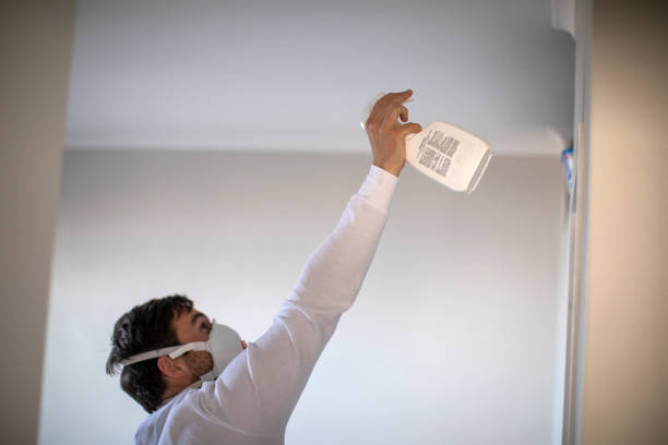 Best Mold Removal and Inspection  in Tremont, PA